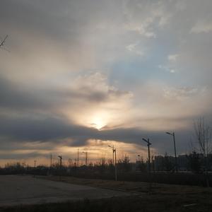 免费AV网站在线观看
